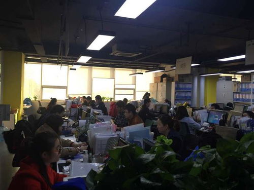 專業(yè)商務(wù)談判口譯，譯銘翻譯 為企業(yè)國(guó)際化進(jìn)程注入精準(zhǔn)溝通動(dòng)力